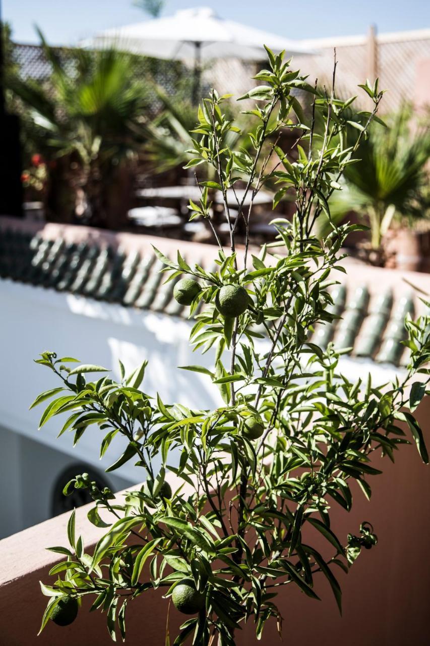 Riad Danka Marraquexe Exterior foto